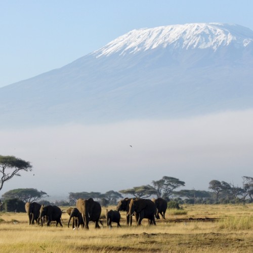 Kilimanjaro (5892m)
