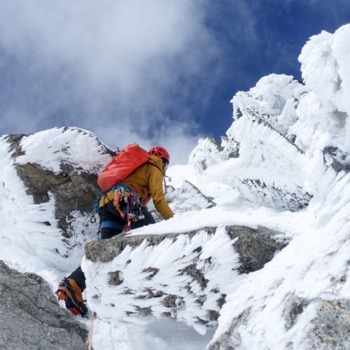 Aiguilles marbrées